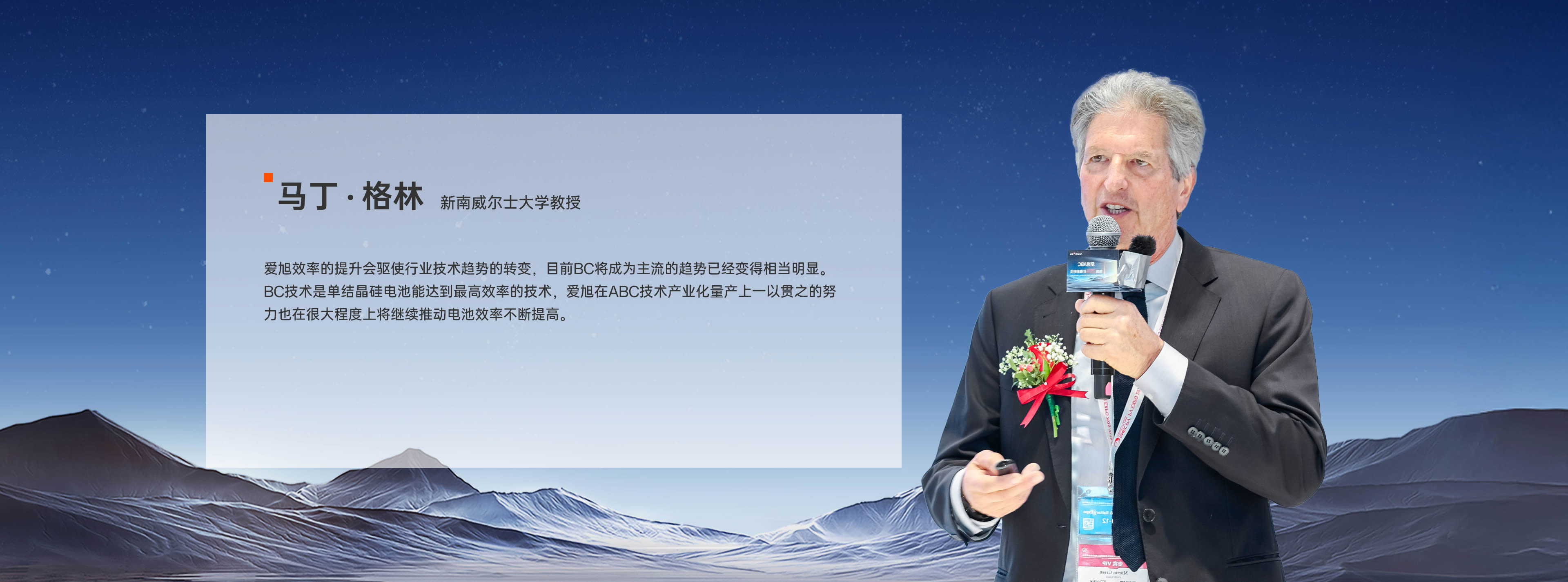 新南威尔士大学教授 马丁 · 格林